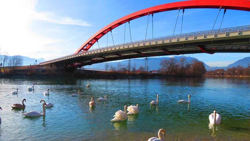 © Georg Wastl Schwanensee an der Drau in Villach. (Georg Wastl)