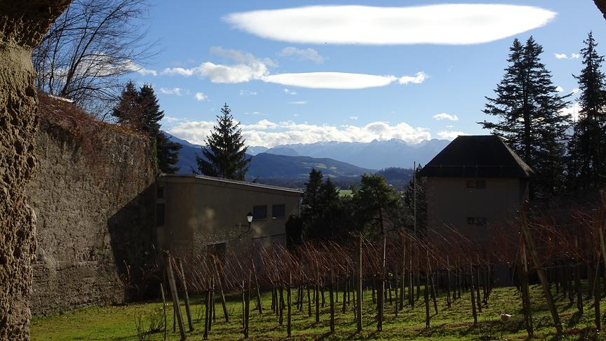 © Josef Pohn Blick aus dem Weingarten mit interessanter Wolkenformation und Tennengebirge im Hintergrund. (Josef Pohn)
