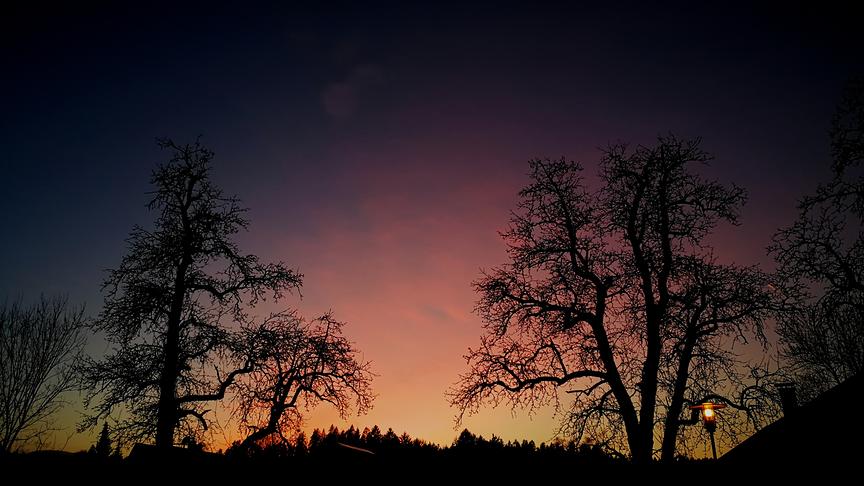 © Doris Blüm Abendliche Stimmung über Velden. (Doris Blüm)