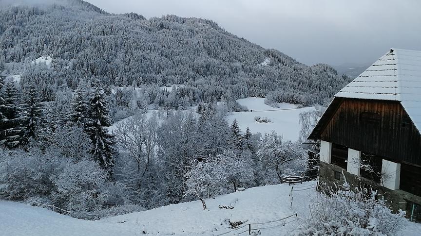 © Peter Haselmann Ausblick von Bergbauernhof Gröger in Murau - Probst. (Peter Haselmann)