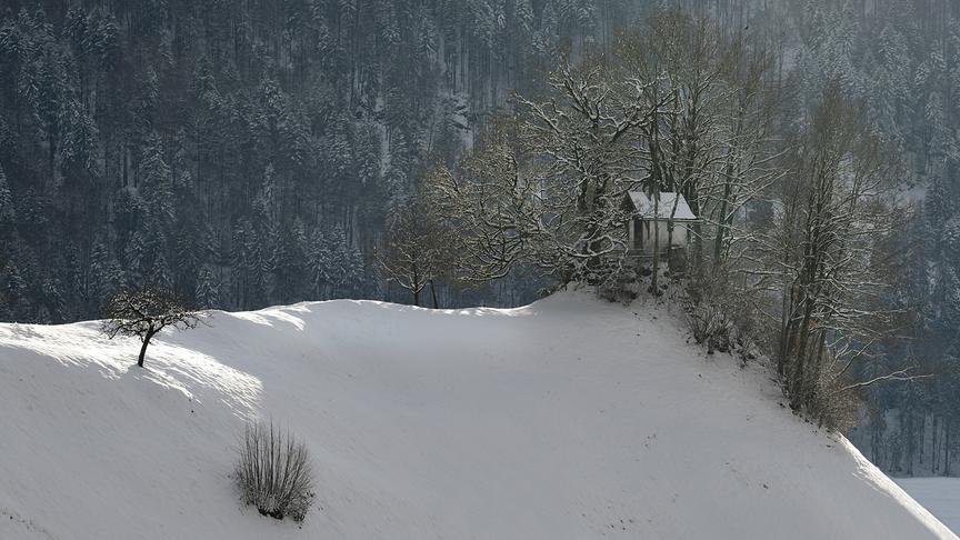 © Manfred Gasser Erster Schnee in Bizau. (Manfred Gasser)