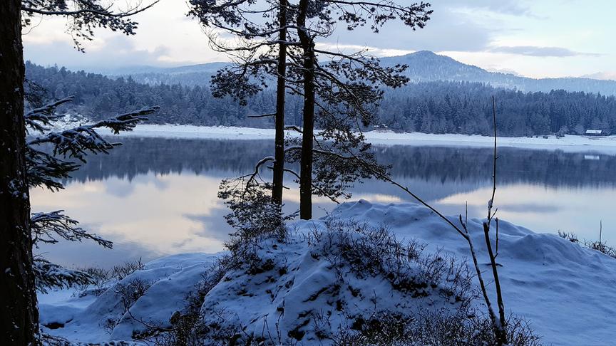 © Marion Wagner Forstsee umgeben vom Schnee. (Marion Wagner)