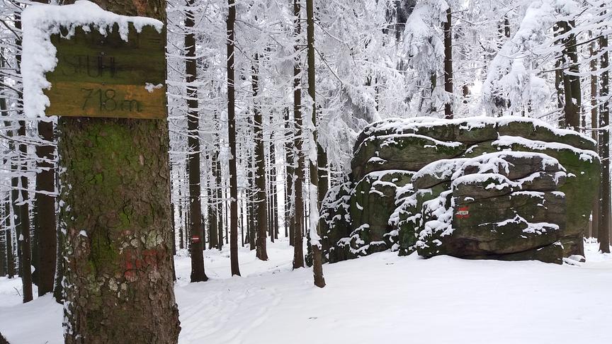 © Thomas Pfabigan Predigtstuhl. Höchste Erhebung im Bezirk Waidhofen an der Thaya (718 Meter). (Thomas Pfabigan)