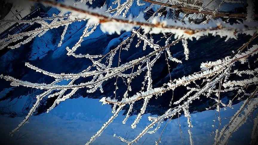 © Maria Bergmann Winter und Frost im Villgratental. (Maria Bergmann)