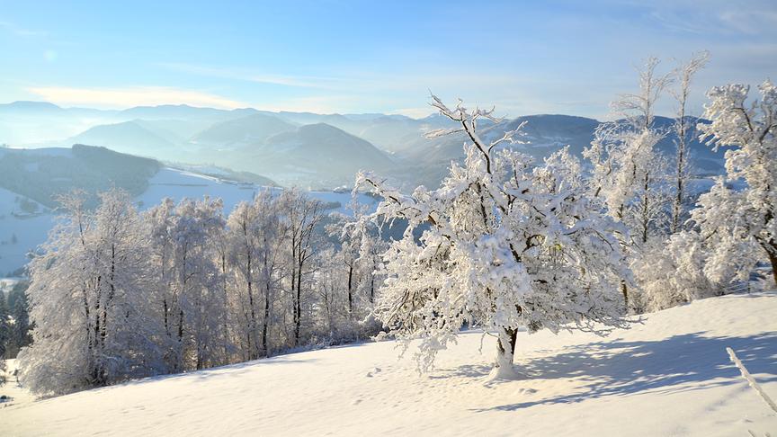 © Löschl Sabrina Wintertag am Sonntagberg. (Löschl Sabrina)