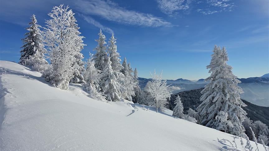 © Josefa Seel Traumhafte Winterlandschaft am 1185 m hohen Eisenstein in den Türnitzer Alpen im Südlichen Niederösterreich. (Josefa Seel)