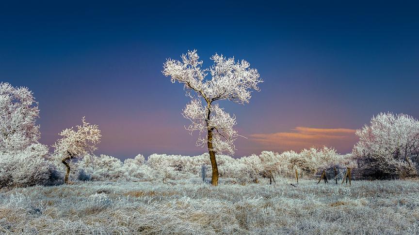 © Christian Herwig Raureif im Nationalpark Donauauen. (Christian Herwig)