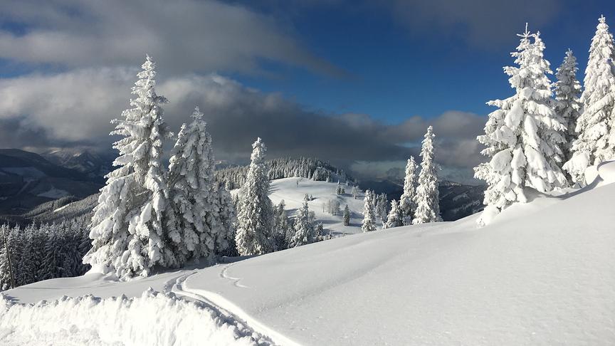 © Gerhard Konlechner Tirolerkogel in Annaberg Skitour. (Gerhard Konlechner)