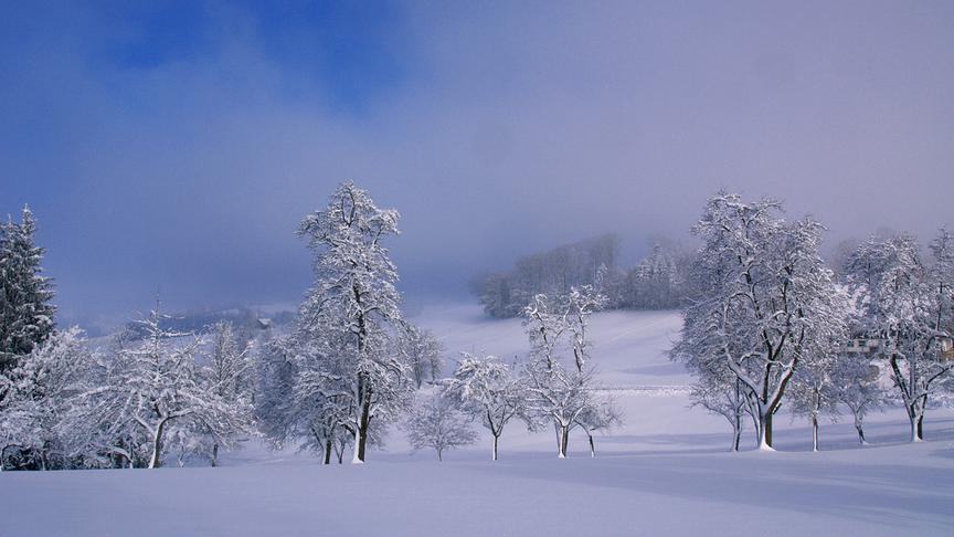 © Franz Fuchsluger Wunderbare Winterlandschaft am Knieberg, doch der Nebel will nicht hinaus. (Franz Fuchsluger)