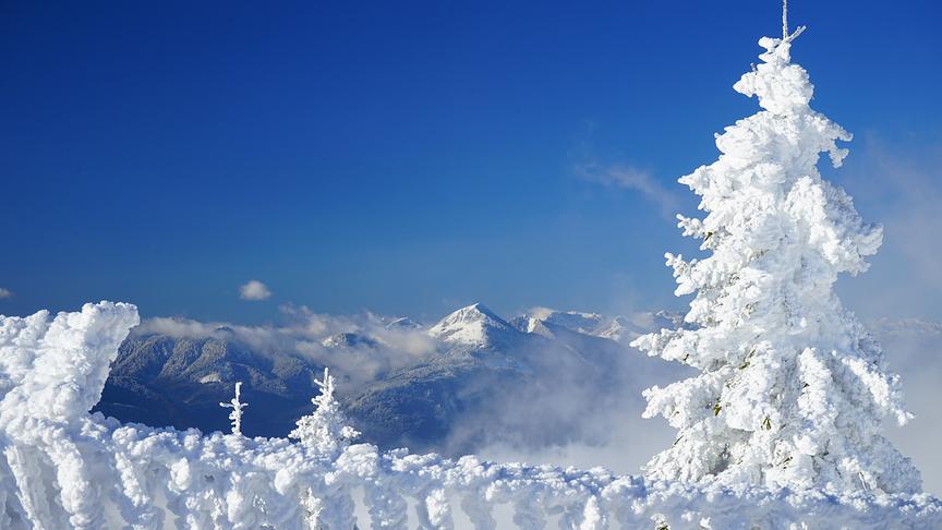 © Evelyn Grießner Ein Winterzauberland konnte ich auf der Villacher Alpe erleben. Der Neuschnee tauchte die Landschaft in ein zartes Weiß. (Evelyn Grießner)