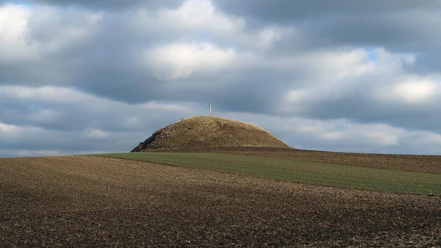 © Heinz Essl Der Leeberg von Niederhollabrunn - Hügelgrab der Hallstattkultur. (Heinz Essl)