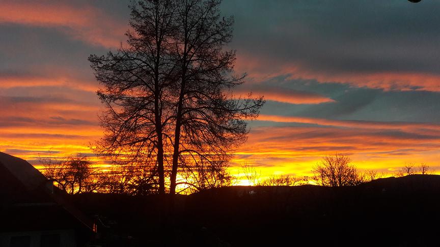 © Rauscher-Schabernig Christine Sonnenaufgang über "Lassenbergcity". (Rauscher-Schabernig Christine)