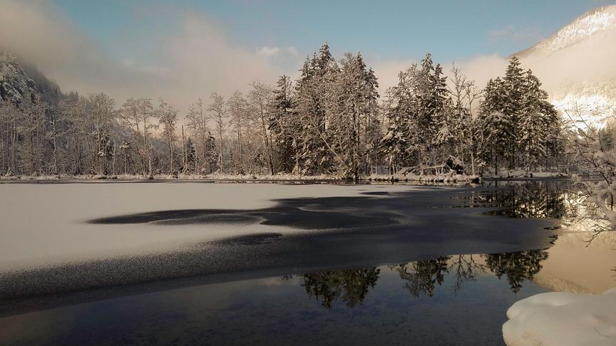 © Gerlinde Ainhirn Traumhafte Spiegelung am frostigen See. (Gerlinde Ainhirn)