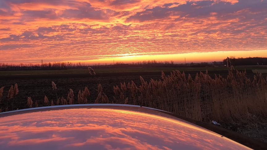 © Heidi Geschina Sonnenaufgang mit rosagelber Wolkenstimmung. (Heidi Geschina)