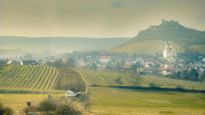 © Wolfgang R. Wiesinger Vorfrühling im Weinort Falkenstein, Bezirk Mistelbach. Saharastaub macht den diesigen Eindruck und prägt die Farbe. (Wolfgang R. Wiesinger)
