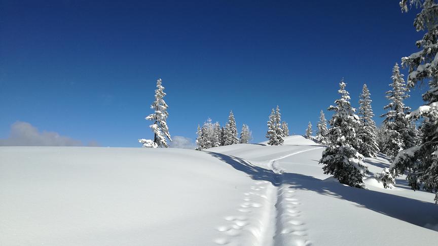 © Sepp Jetzbacher Skitour. (Sepp Jetzbacher)