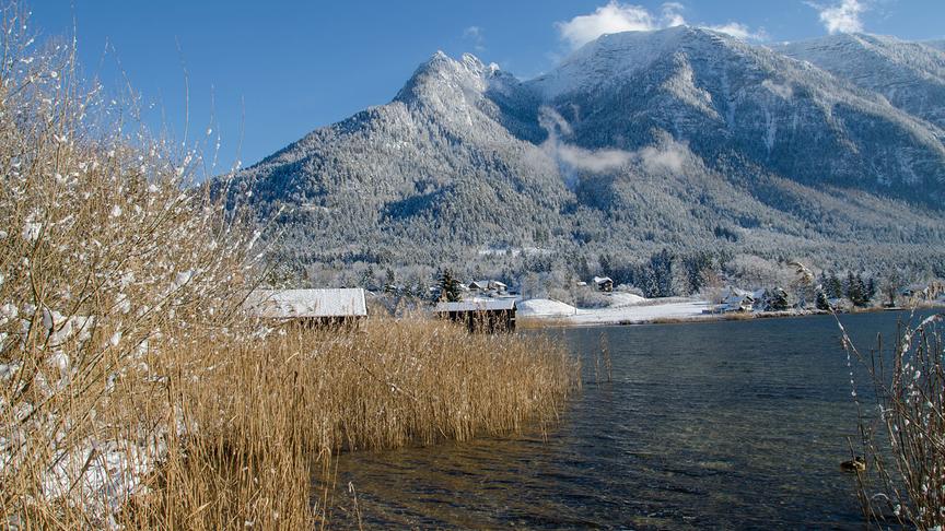© Reinhard Feuchtner Das Schilf am Hallstättersee in Untersee verleiht der Winteraufnahme einen warmen Ton. Im Hintergrund der Sarstein. (Reinhard Feuchtner)