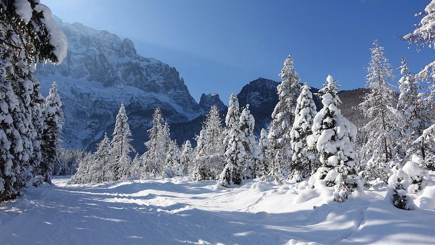 © Annelie Möser Wintertraum im Val Saisera bei Tarvisio. (Annelie Möser)