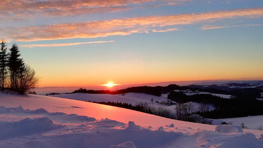 © Erwin Wansch Blick vom Herrgottsitz, die höchste Erhebung von Schönau, in Richtung Südwesten. (Erwin Wansch)