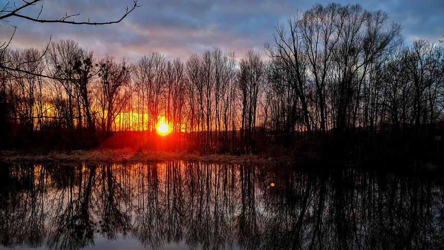 © Reinhard Handl Der Fluss "Erlauf" und seine Au. (Reinhard Handl)