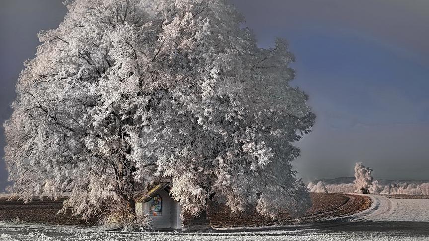 © Peter Grill In der Früh gab es Raureif und am Tag schönes Winterwetter. (Peter Grill)