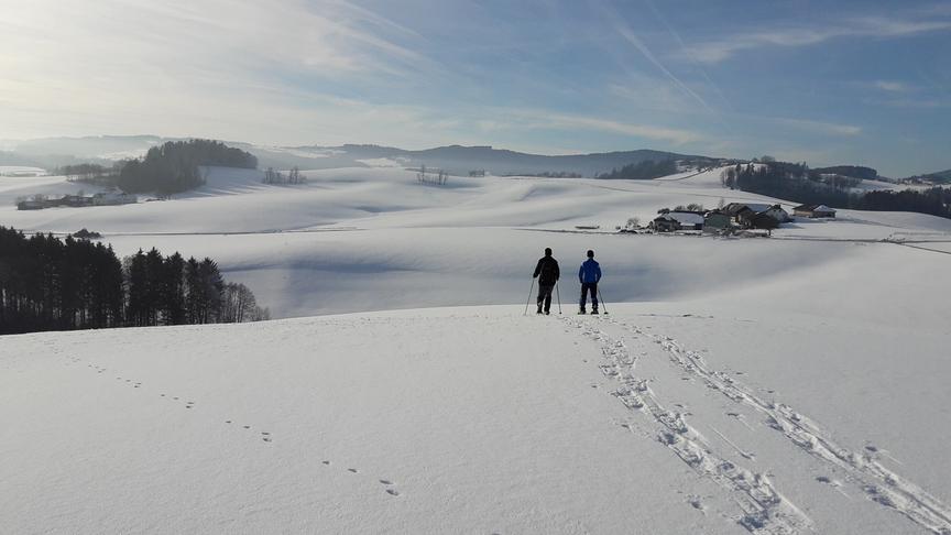 © Zeller Anna Schneeschuhwandern Mühlviertel. (Zeller Anna)