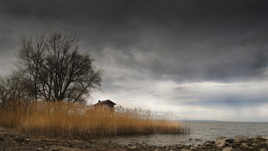 © Manfred Gasser Ein schöner Platz Rohrspitz am Bodensee, Höchst. (Manfred Gasser)