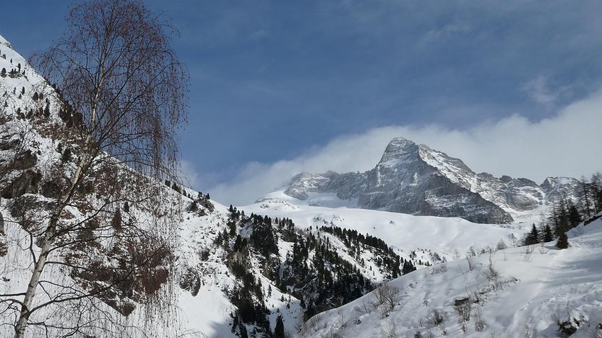 © Ferdinand Mader Bergheimat - Fussstein 3380m. (Ferdinand Mader)