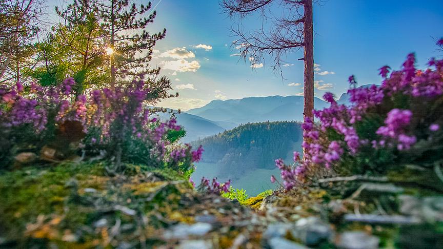 © Mario Hofer Der Frühling hält langsam Einzug im Rax Gebiet Payerbach/ Reichenau. Im Hintergrund die Rax im mystischen Dunst. (Mario Hofer)