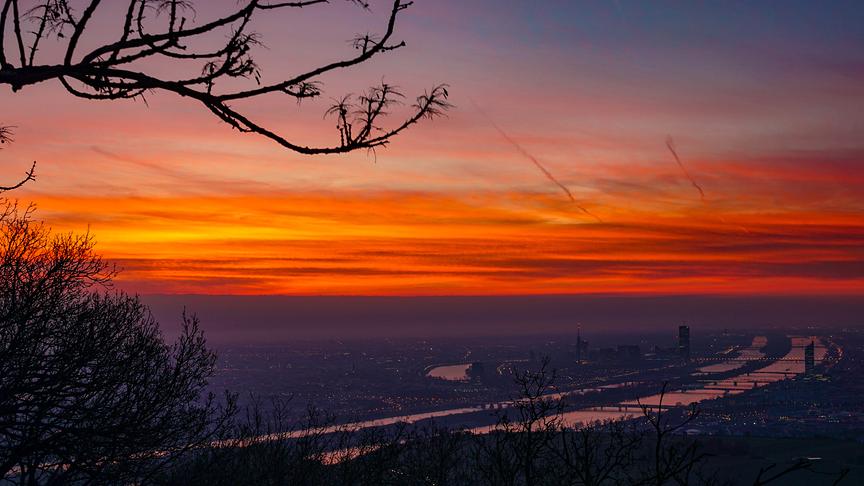 © Alexander Halbritter Kahlenberg mit Aussicht auf ein morgenrot überzogenes Wien. (Alexander Halbritter)
