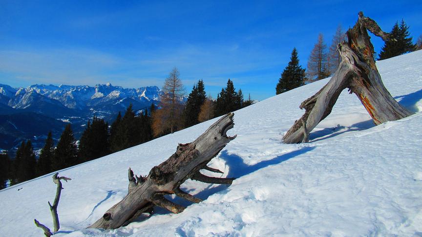 © Georg Wastl Ein Traumtag am Dobratsch, dem Villacher Hausberg. (Georg Wastl)
