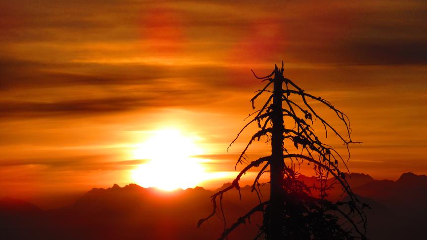 © Georg Wastl Die ersten Sonnenstrahlen lassen den Dobratsch glühen. (Georg Wastl)