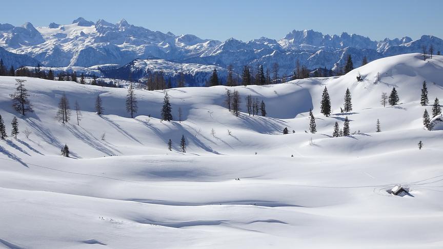 © Mitterhuber Hans Platteau der Mitterkaralm im Gebiet der hohen Schrott. (Mitterhuber Hans)