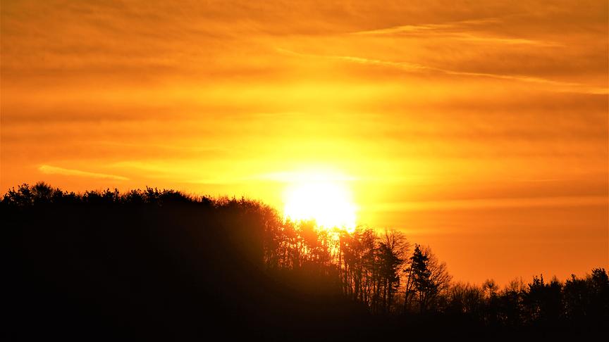 © Karl Zettelbauer Guten Morgen. (Karl Zettelbauer)