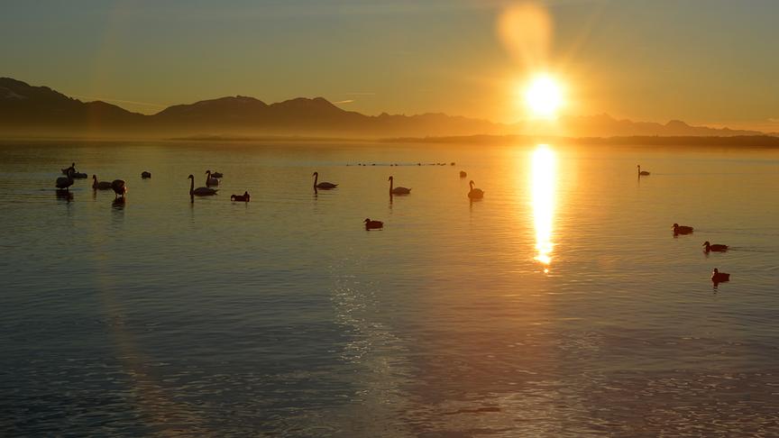 © Roberto Moresco Sonnenuntergang. (Roberto Moresco)