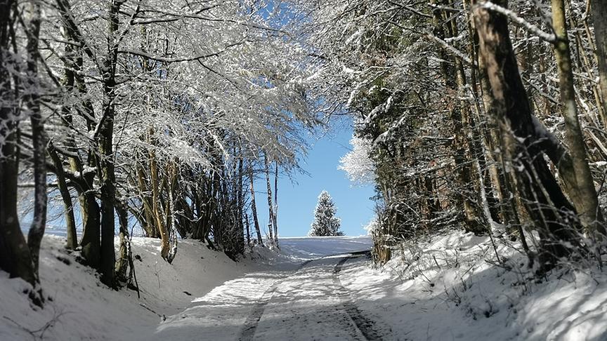 © Doris Blüm Richtung Sternberg/ Kärnten. (Doris Blüm)