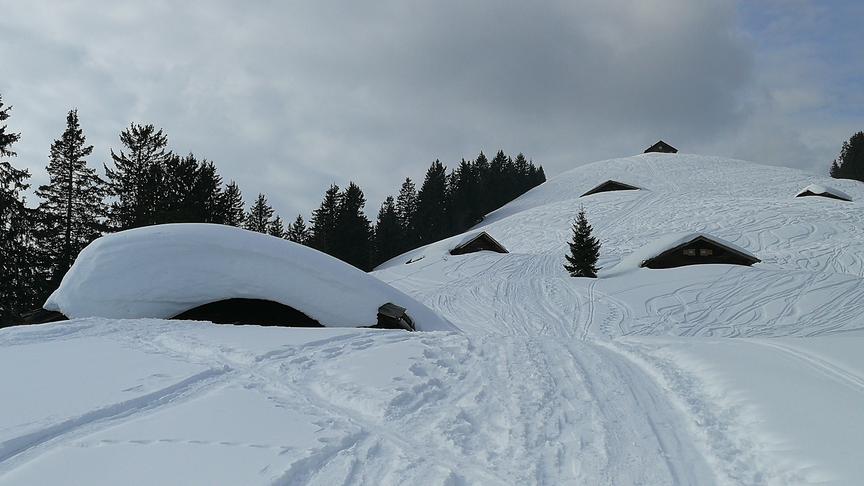 © Georg Ackerer Schwarzeck Almen auf der Loferer Alm. (Georg Ackerer)