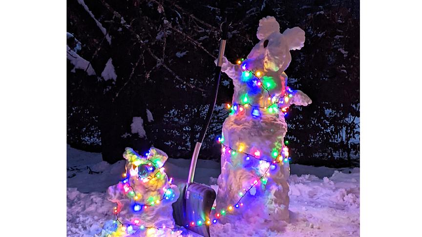 Schneemann mit Weihnachtsbeleuchtung. (Familie Piuk, Kärnten)
