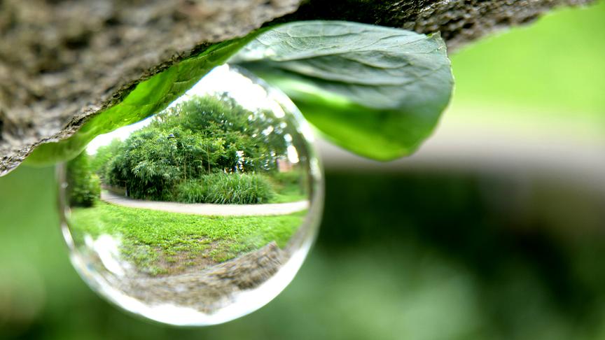 © Tanja Eppinger-Nimführ Schöner Durchblick. (Tanja Eppinger-Nimführ)