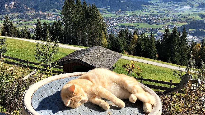 © Inge Lindengrün Blick vom Biberg auf Saalfelden. (Inge Lindengrün)