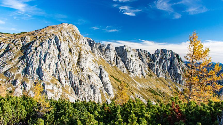 © Günter Krenn Aflenz Bürgeralm - Blickrichtung Feistringstein. (Günter Krenn)