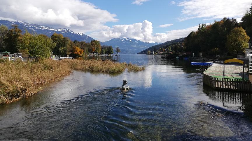 © Monika Bergmoser Herbststimmung am Millstätter See in Seeboden. (Monika Bergmoser)