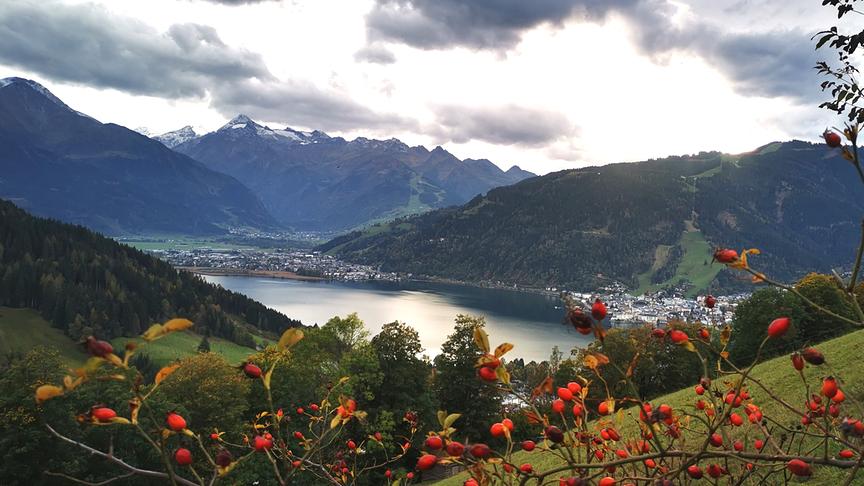 © Maria Harlander Zell am See Thumersbach (Maria Harlander)