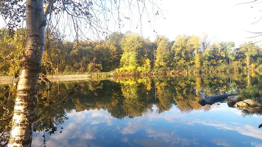 © Alois Jax Am Ufer der Enns im Herbstkleid (Alois Jax)