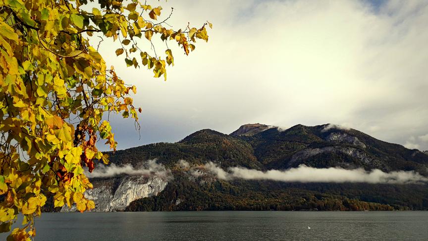 © Christa Katharina Dallinger Blick zum Schafberg (Christa Katharina Dallinger)