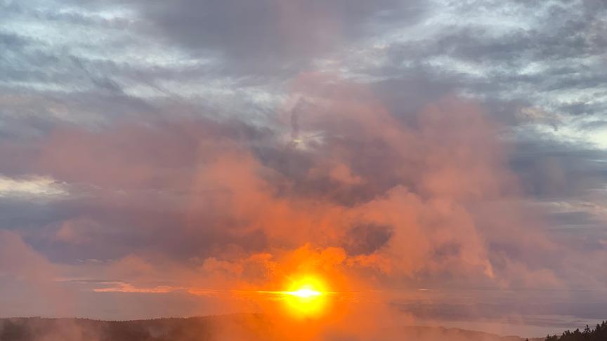 © Rosita Gimpl Sonnenaufgang von unserem Balkon in Kirchschlag bei Linz (Rosita Gimpl)