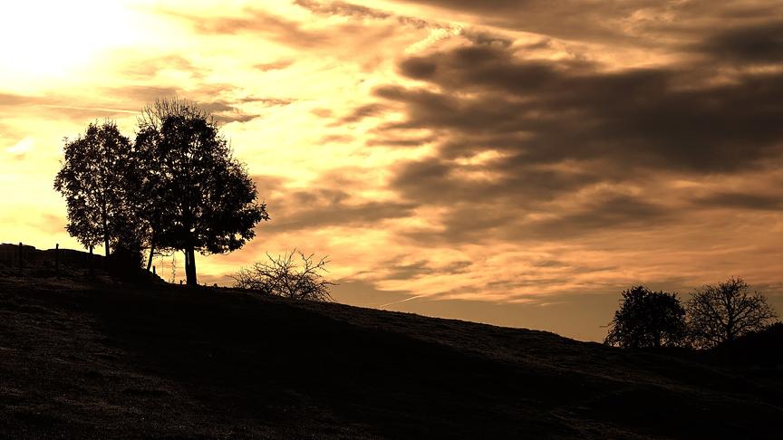 © Karl Zettelbauer Herbstlicht (Karl Zettelbauer)