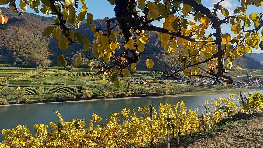 © Petra Karner Eimerberg in Spitz-Wachau (Petra Karner)
