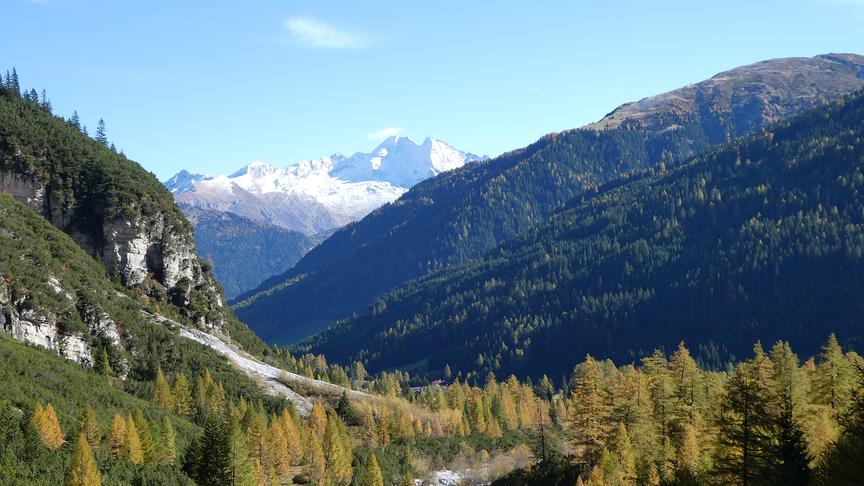 © Ferdinand Mader Vom Hinterennstal aus - zur Gletscherwelt des Olperer 3476m (Ferdinand Mader)