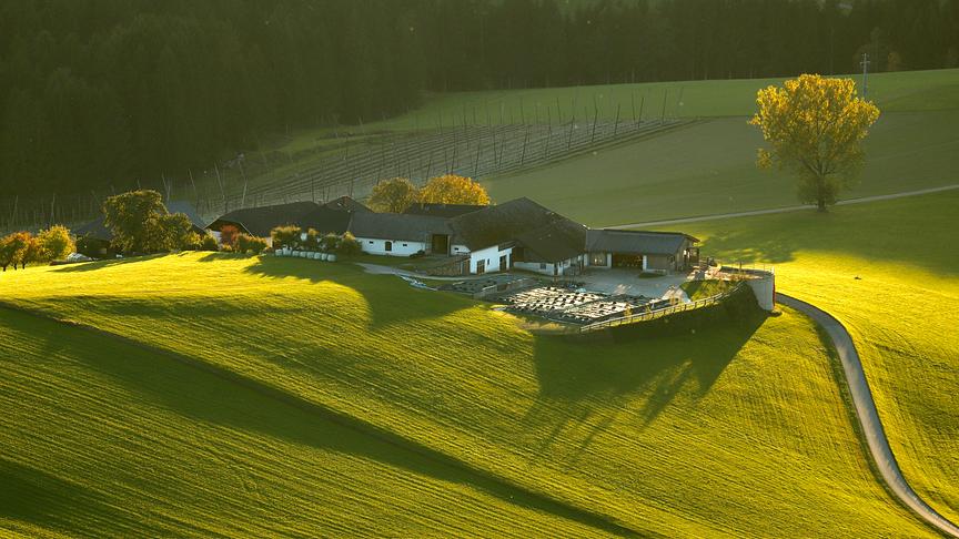 © Bauernhof in Mühlviertler Hügellandschaft (Peter Plattner) Bauernhof in Mühlviertler Hügellandschaft (Peter Plattner)